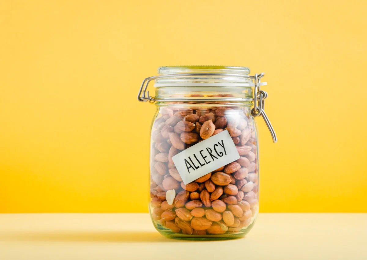 Allergie und Unverträglichkeit: Einmachglas mit Nüssen