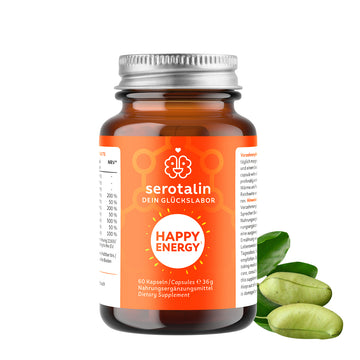 Active Brain Performance Kapseln