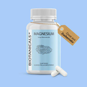 Magnesium Kapseln