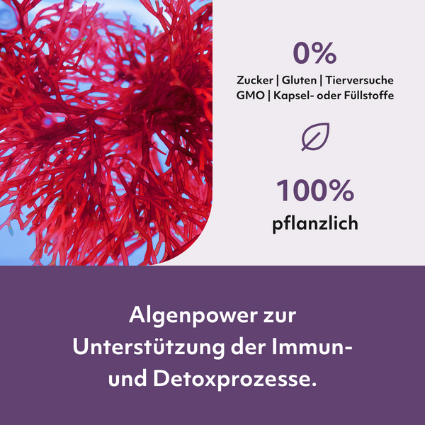 Astaxanthin Tropfen