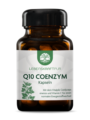 Q10 Coenzym Kapseln