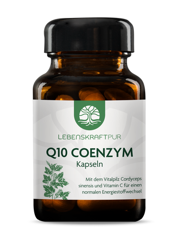 Q10 Coenzym Kapseln