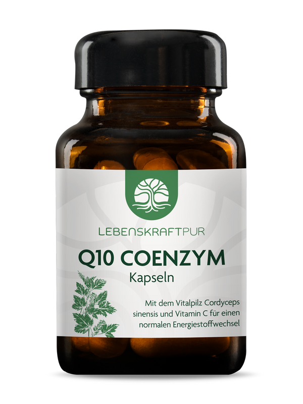 Q10 Coenzym Kapseln