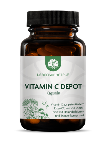 Vitamin C Depot Kapseln
