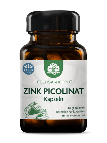 Zink Picolinat Kapseln