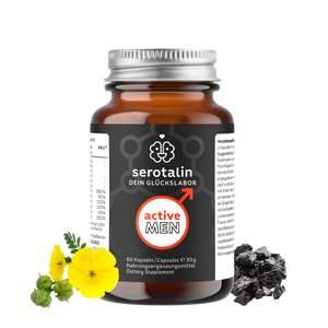 Testosteron-Vorsorgeset: Test + Active Men Kapseln