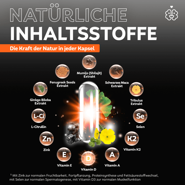 Testosteron-Vorsorgeset: Test + Active Men Kapseln