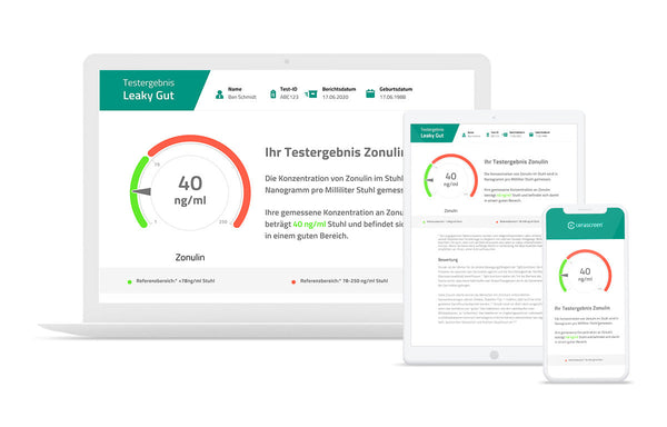 Vorschau des Testergebnisses des Leaky Gut Tests von cerascreen