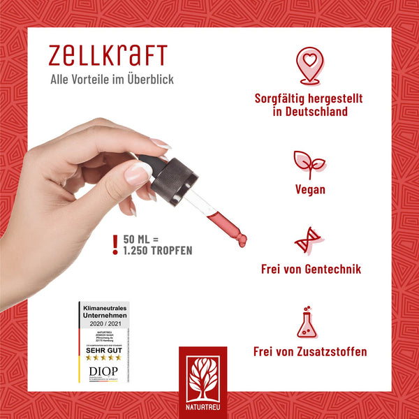 Zellkraft Vitamin B12 Tropfen